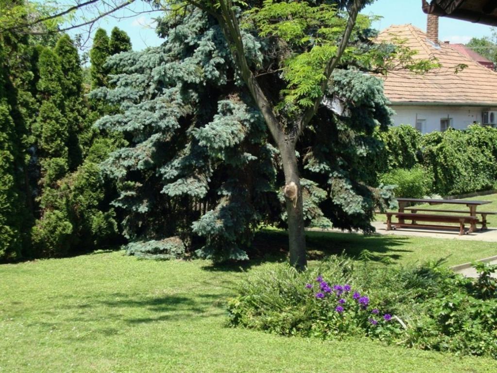 Gyöngyvirág Vendégház Balatonboglár Exterior foto